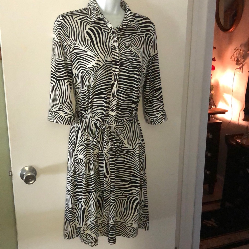 Shirt dress